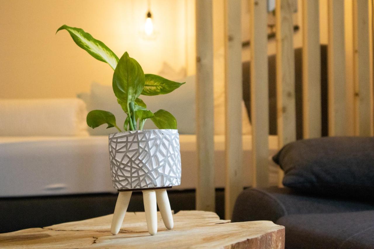 Am Seewald - Ferienwohnung Am Bodensee FDH Kültér fotó